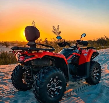 PASSEIO DE QUADRICÍCULO