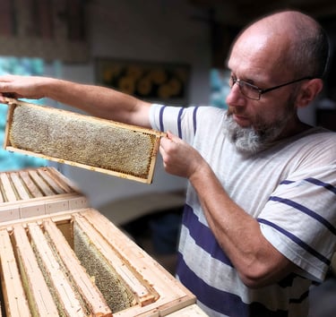 Žolynų medus koryje – poliflorinis, visiškai natūralus lietuviškas medus, surinktas iš laukinių pievų augalų, žiedų.
