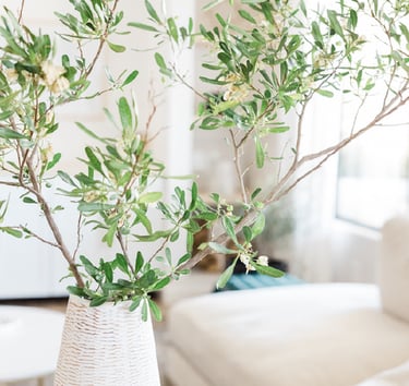 Décoration intérieur, branche d'olivier