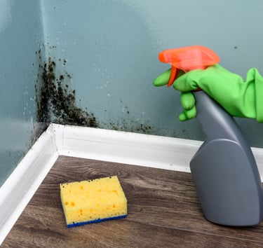 Limpieza de moho negro en pared interior