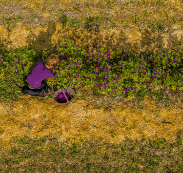 a woman in a purple shirt is sitting on a field