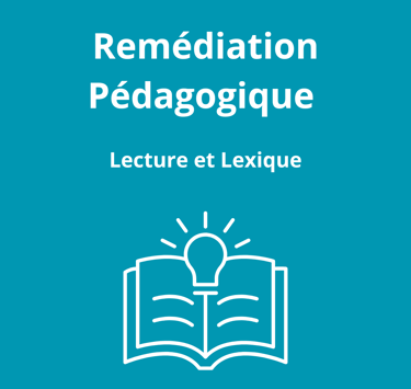 lecture compréhension lexique vocabulaire soutien scolaire aide aux devoirs français tarbes visio en