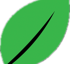 Eco Friendly Junk Removal