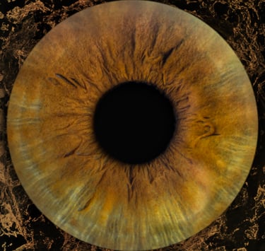 Close up of Dr. Denenberg's Iris, Iris Photography