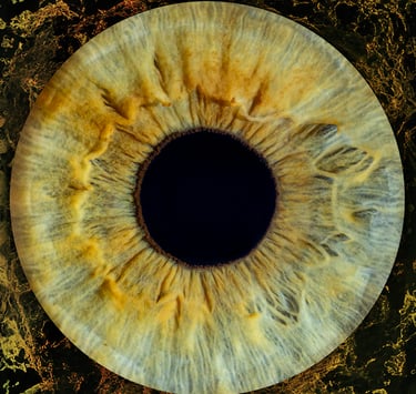 Dr. Szuba's Iris, Iris Photography