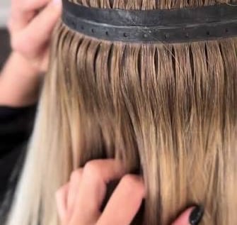 stock photo butterfly extensions