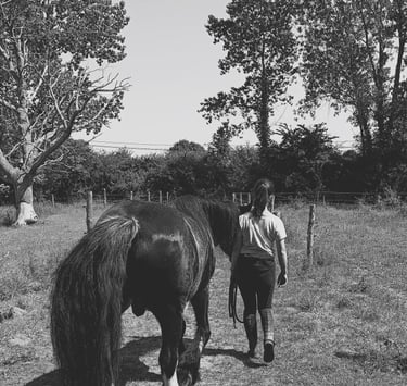 équithérapeute qui marche à côté d'un cheval pour une séance d'équithérapie