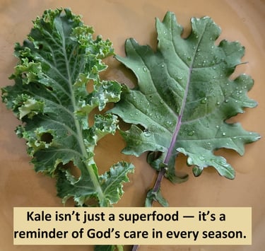 Kale isn't just a superfood - it's a reminder of God's care in every season.