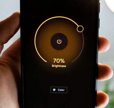 Residential IT support and smart home technology consulting.