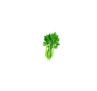 a branch of celery 