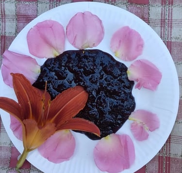 coulis cassis récolté au jardin