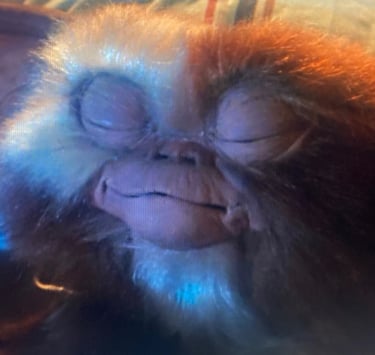 Gremlins -Gizmo's Wizardry