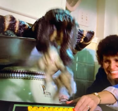 Gremlins - A Blend of Gremlin, a Pinch of Menace