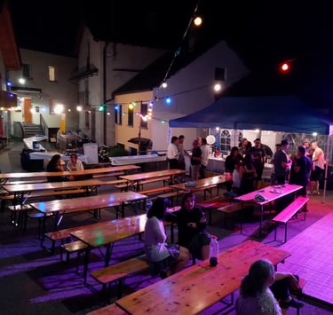 a group of people sitting at tables with purple lights, festa campestre Menzonio