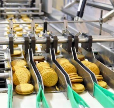 Food processing Plants