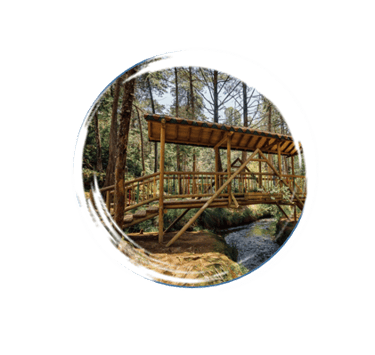 Ponts en bois Parque Arvi Santa Elena Medellin