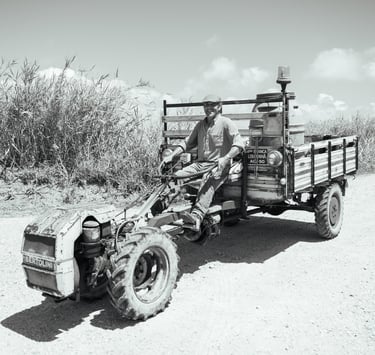 A traditional farmer is seen riding on his Bertolini 2-wheel tractor with a trailer attached, happily posing for the camera. 