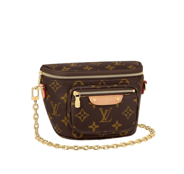 Louis Vuitton Bumbag