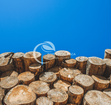 une pile de troncs de bois avec un ciel bleu en arrière-plan