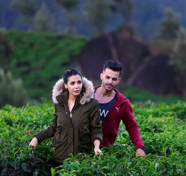 A couple wandering around tea plantation near Munnar.