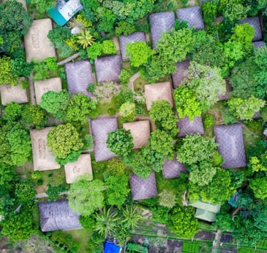 Traditional stay in a spice plantation in Kerala.