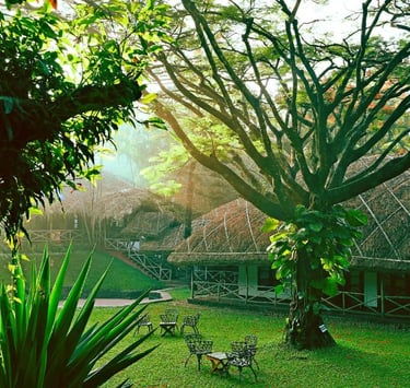 Traditional eco friendly kerala stay like native adivasis.