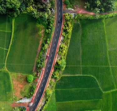 Road through paddy field in Kerala