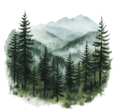 Waldlandschaft als Location für Hundefotografie in Niederösterreich und Wien