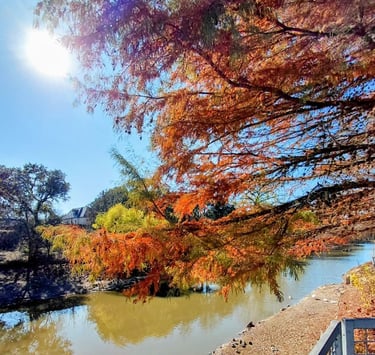 Tree branches with fall colors with river in background