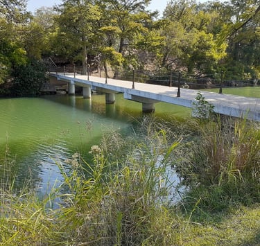 White bridge over river with green trees in background