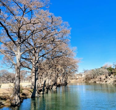 Gently flowing river with trees lining the bank