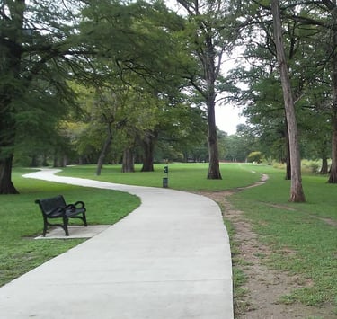 Winding paved path through a green park with large trees and a bench beside the path.
