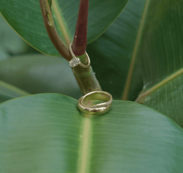 A wedding ring resting on a vibrant green leaf, symbolizing love and nature's beauty.