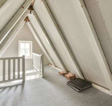 Loft space that might have mouse problem