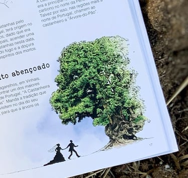 Editorial design and illustration for BASF 20 years book