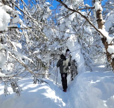 Skieur en pleine ascension sur une haute route, traversant les paysages enneigés et montagneux, dans un environnement alpin 