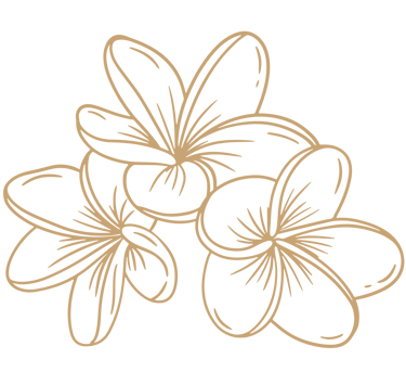 frangipani