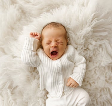 newborn photographer Minneapolis