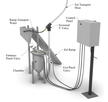 EelStream Eel Lift