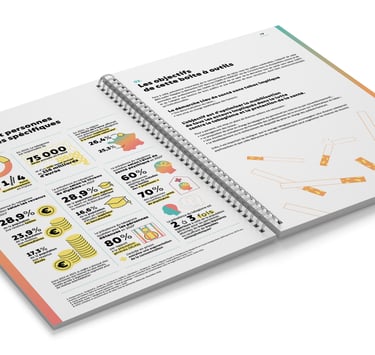 pages intérieures publication CESST