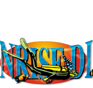 Sunrise Dive Bali logo featuring a stylized sunrise over ocean waves, symbolizing underwater adventures and a connection to B