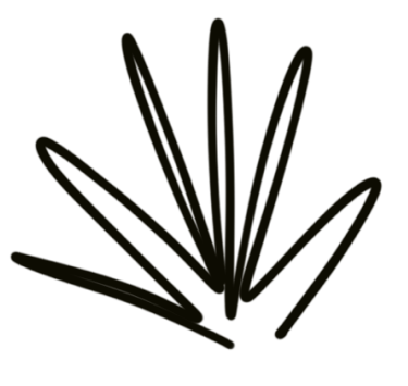visual illustrating expansive growth