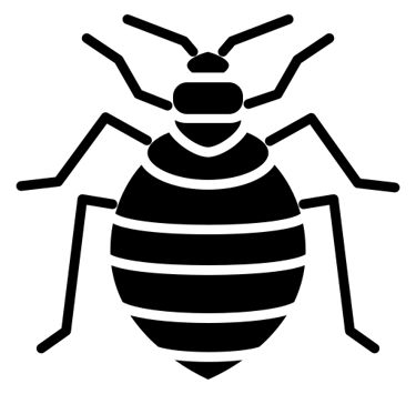 désinsectisation punaises de lit Nice