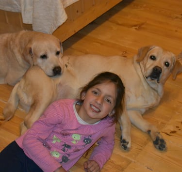 Dog Boarding, Dog Boarding near me, Pet Boarding, Pet Boarding near me, Dog Care, Happy Pettings