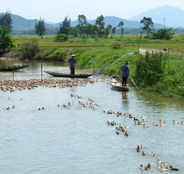 Vietnamese farmers on wooden boats herding a large flock of ducks across a rural river landscape.