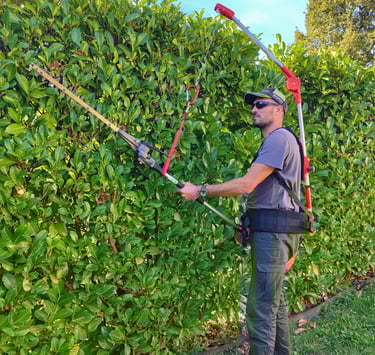 Taille de haie par un jardinier