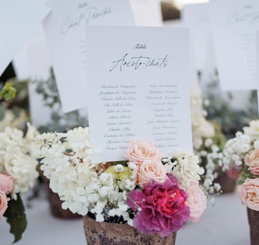 photographe mariage centre