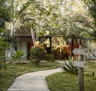 Luxory holiday home garden with palms.Rural Tourism Development with Timea Pokol