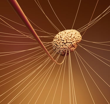 a brain , brainstorming with Timea Pokol Consultant