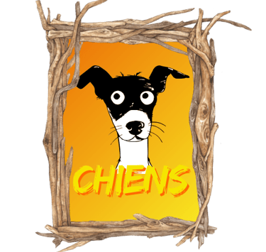 éducation canine Guadeloupe